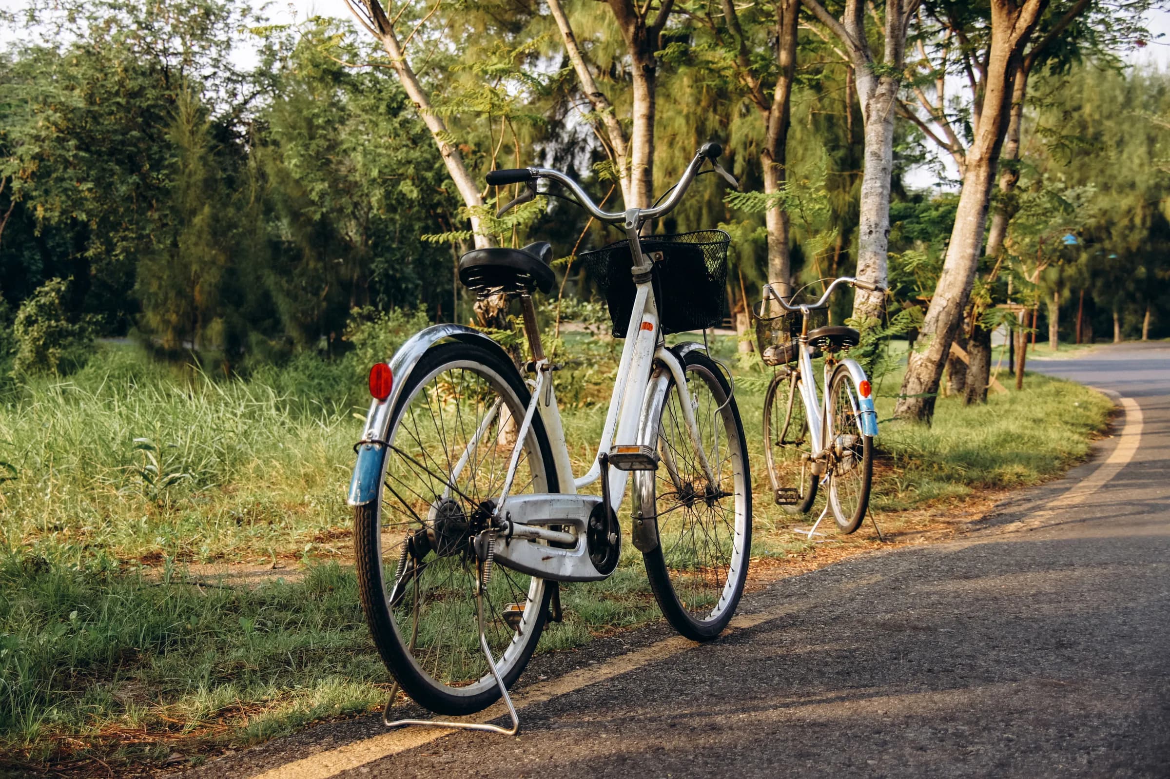 Twee fietsen langs een groen fietspad tussen de bomen.