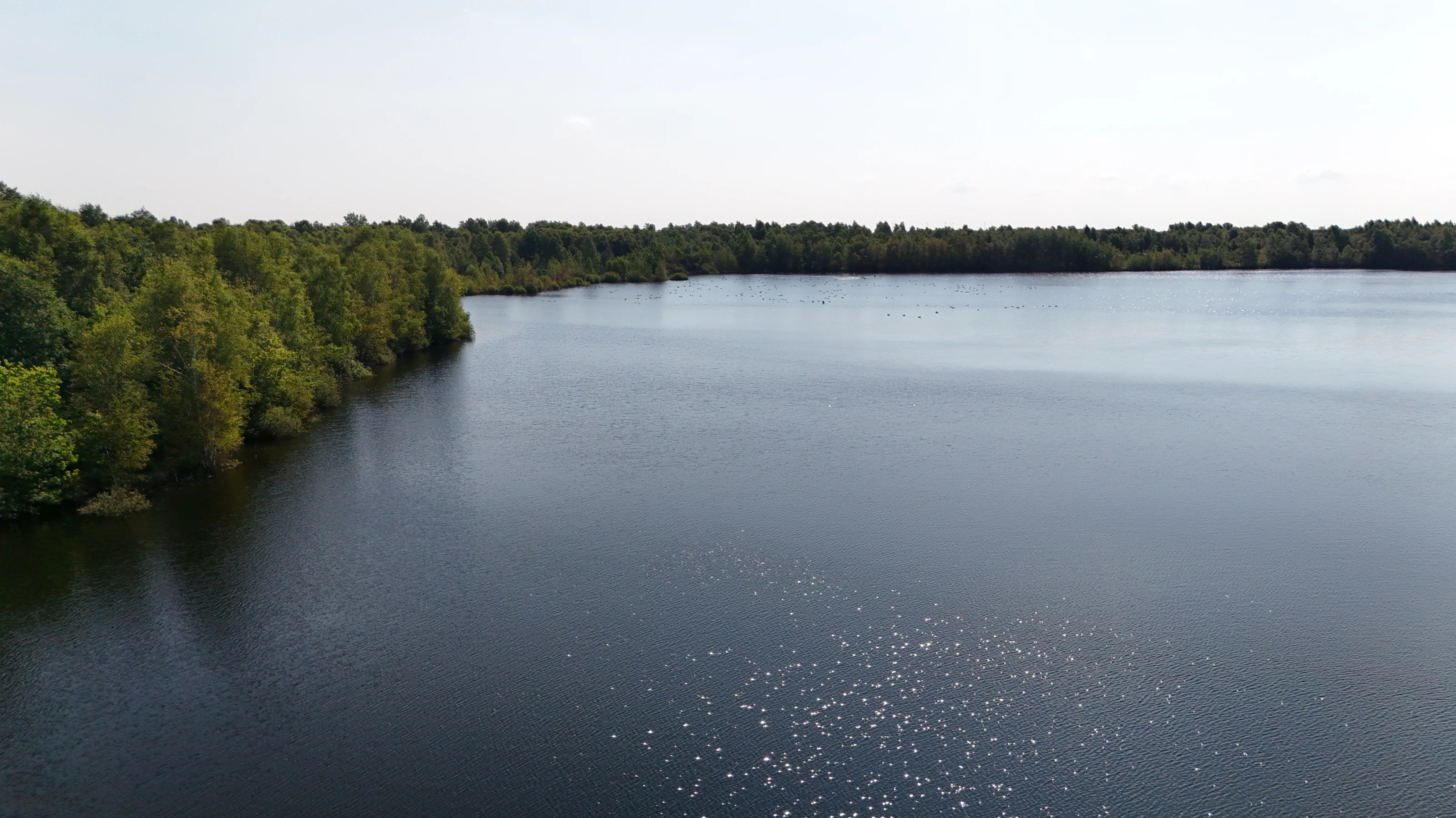 Boslinten en akkers in Drenthe, vanuit de lucht