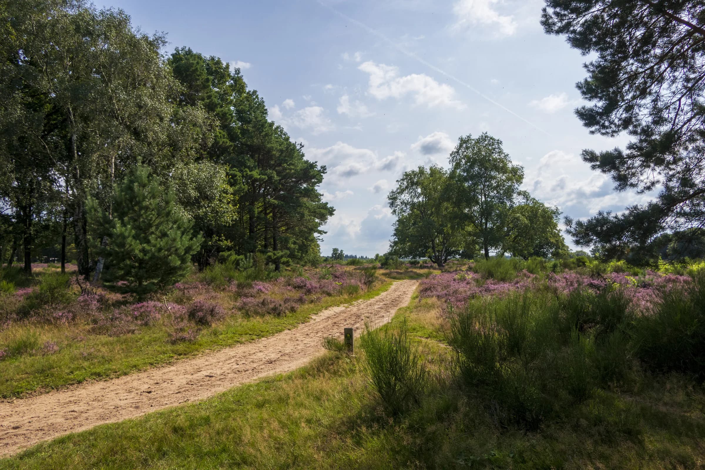 Een zandpad door de heide