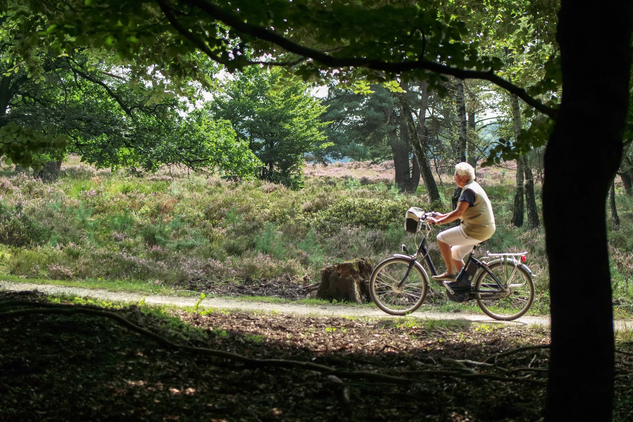 Vrouw fietst over een zandpad langs heide en bos