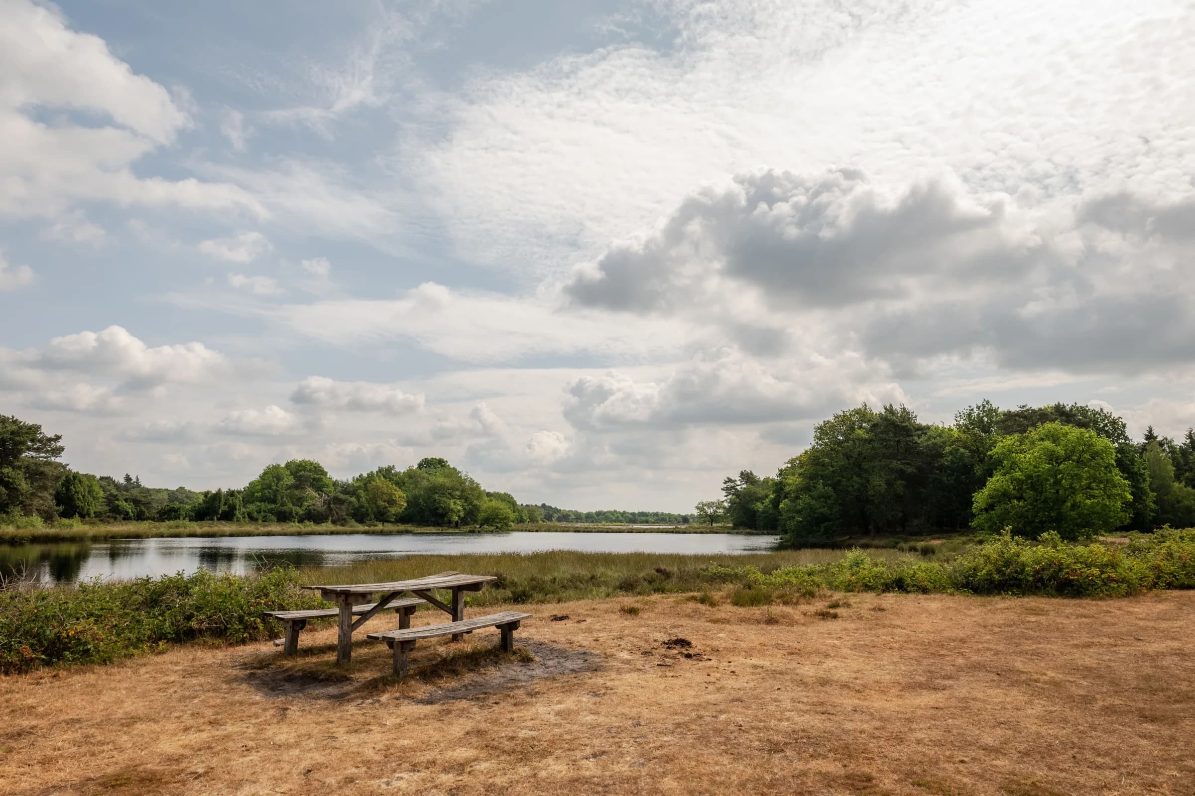 Houten picknicktafel bij een ven, omringd door bos
