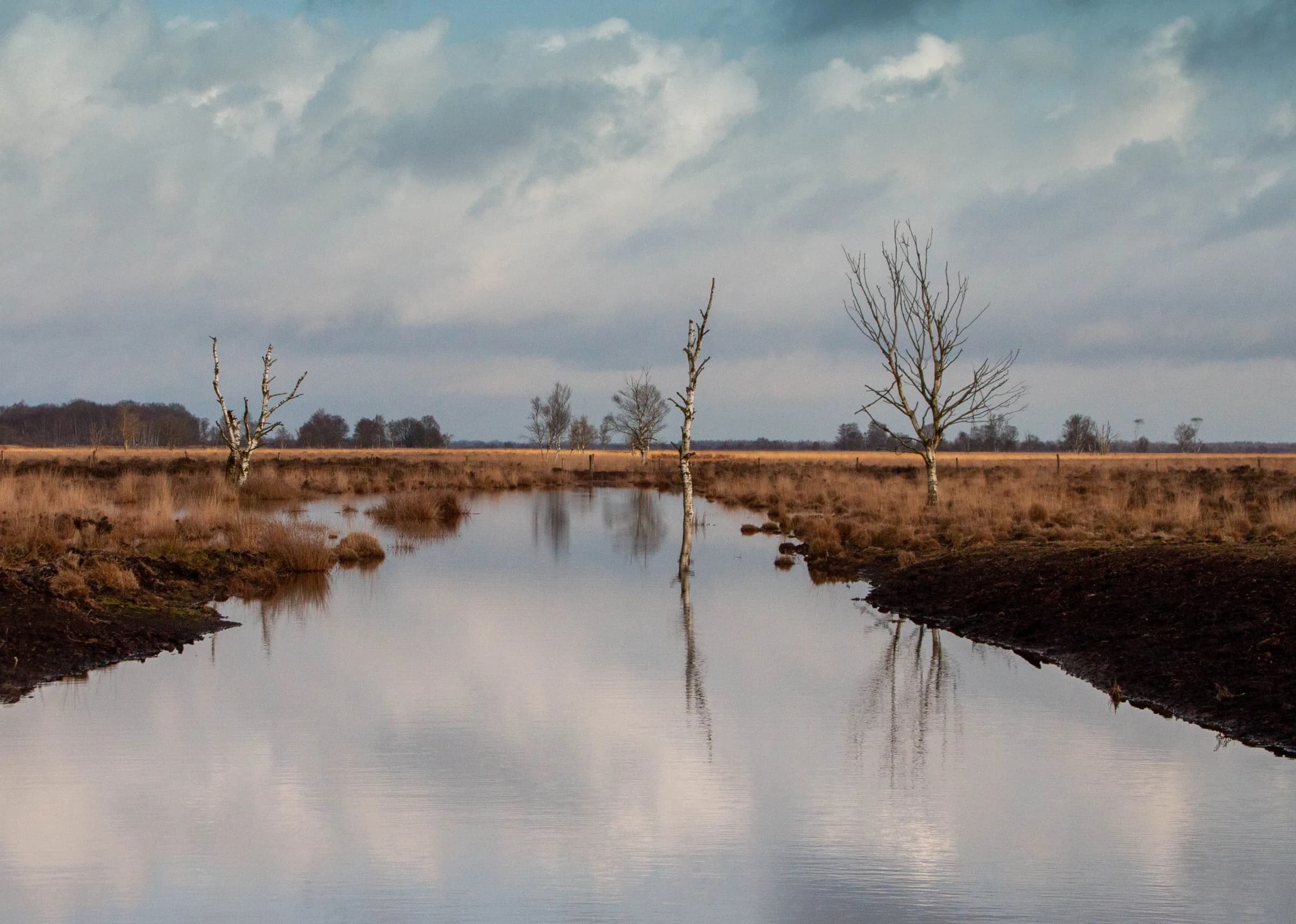 Het weidse veenlandschap van Drenthe