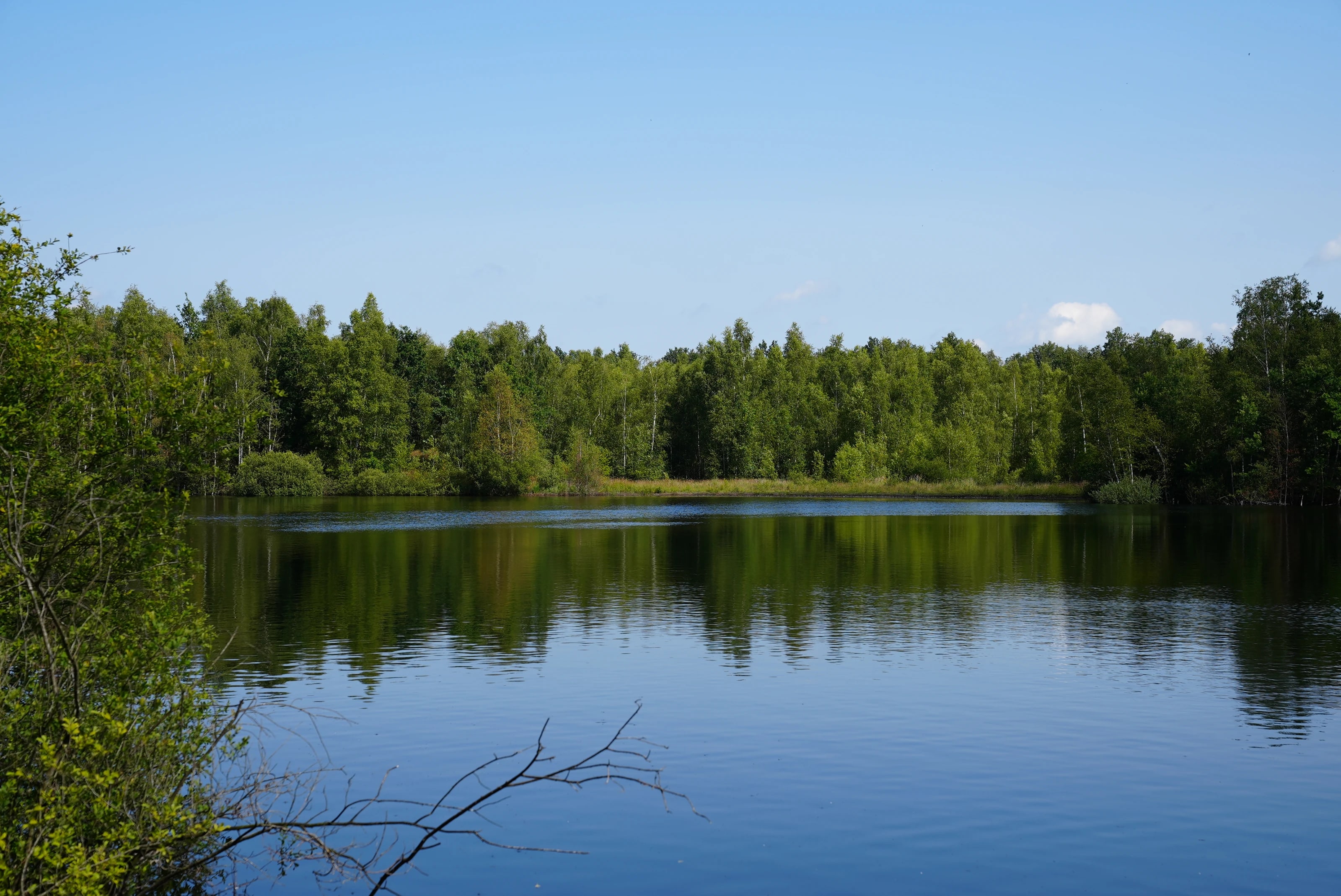 Bos en water in de omgeving van Cozmoss