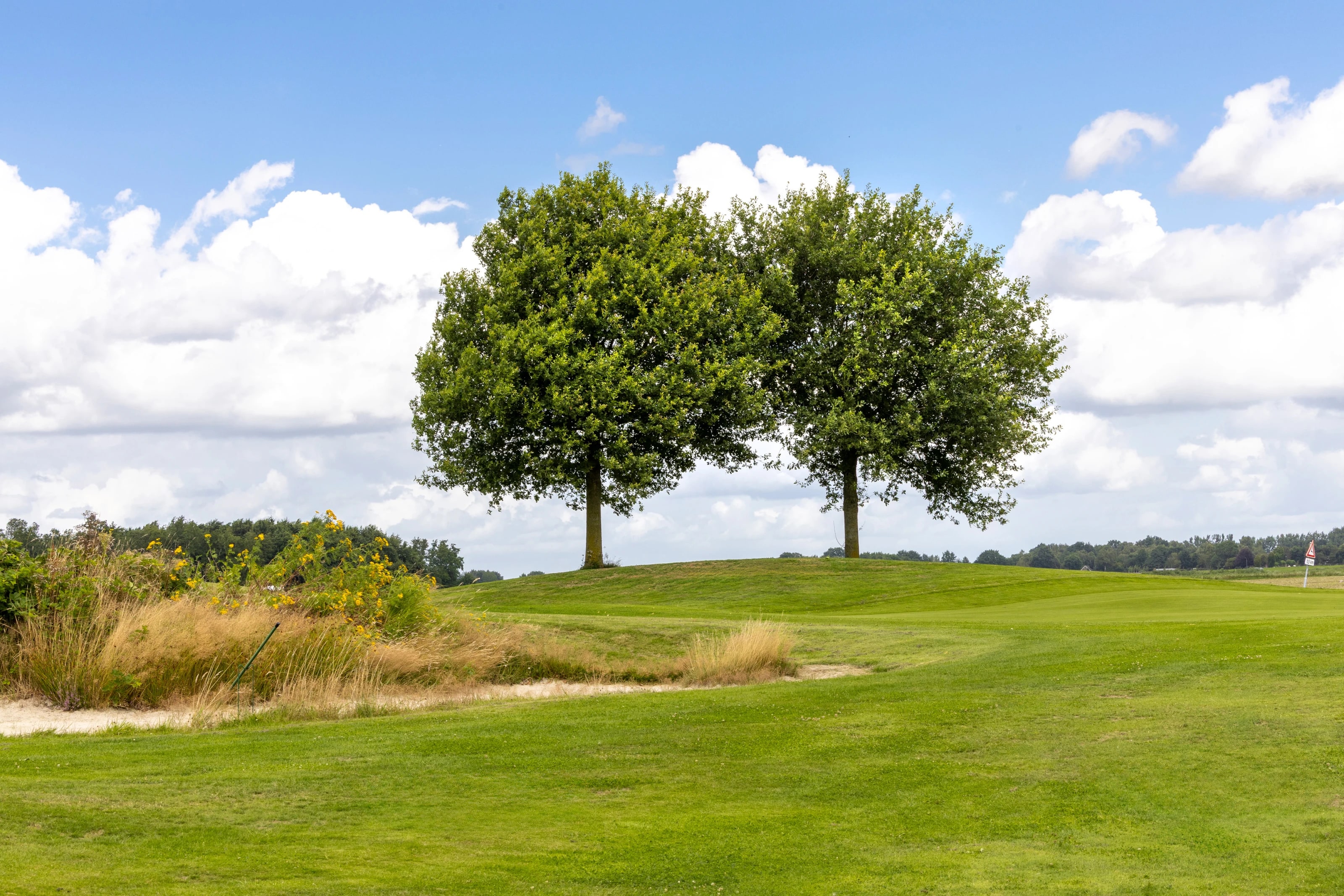 De natuur van Drenthe rondom Cozmoss
