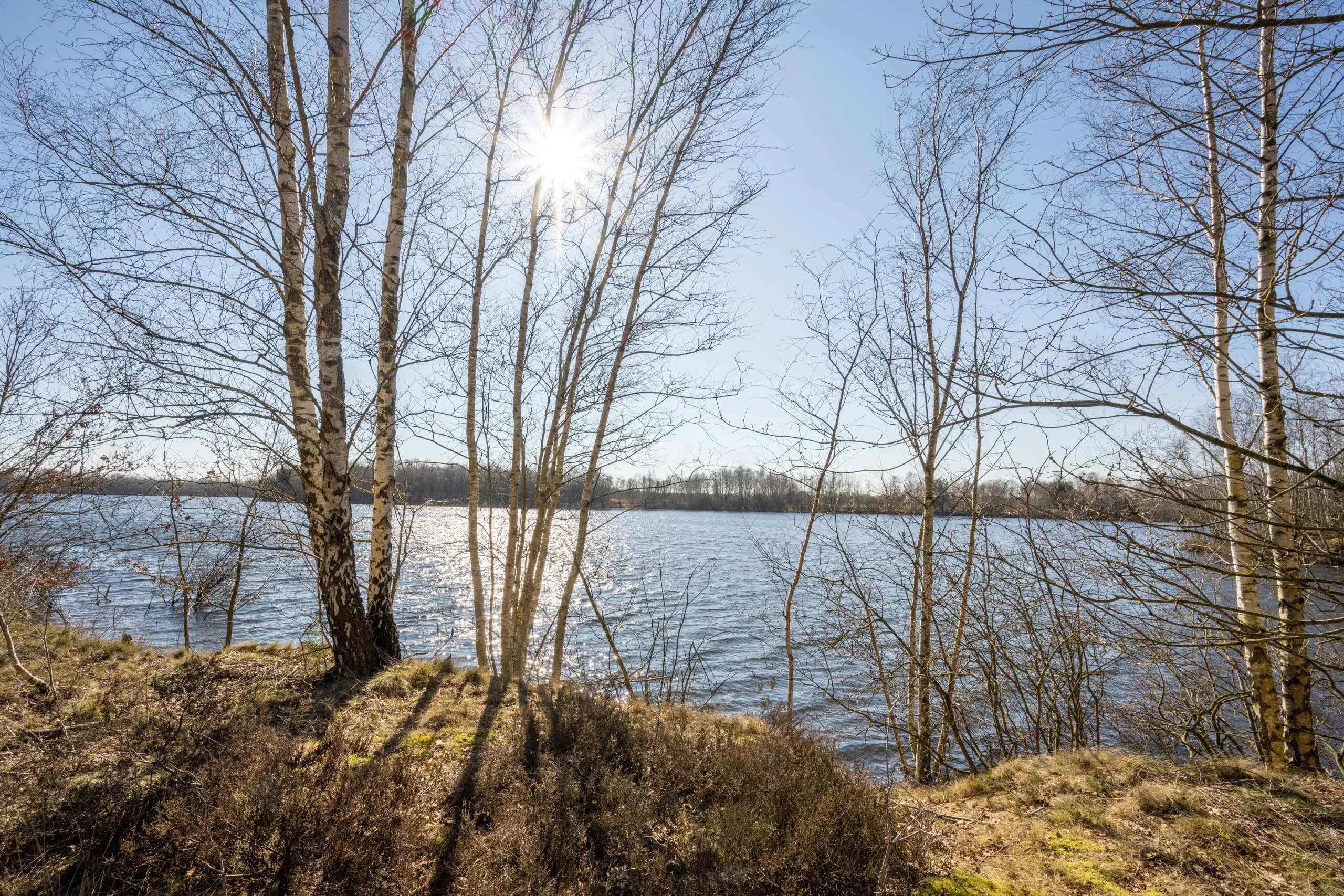 Wandelen Cozmoss