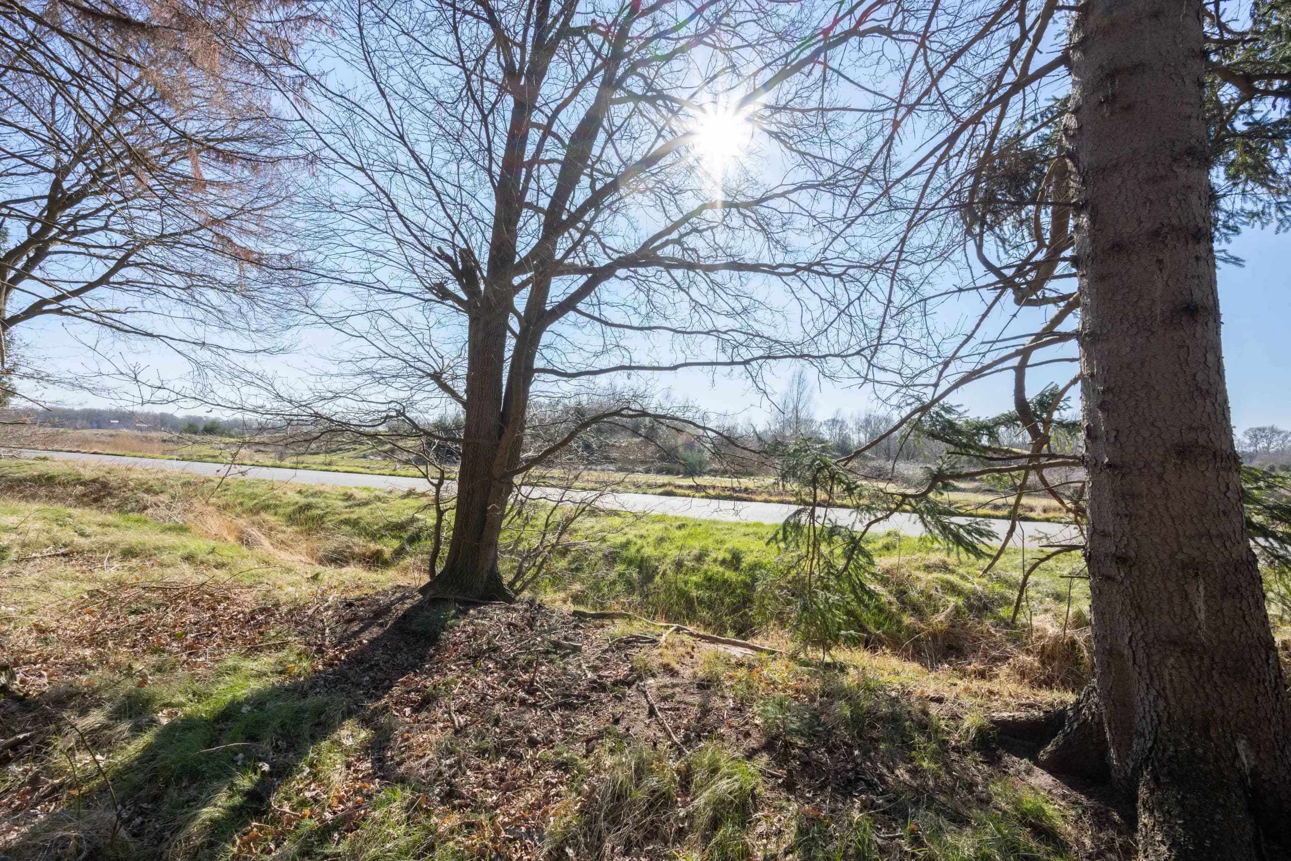 Fietsen bij Cozmoss